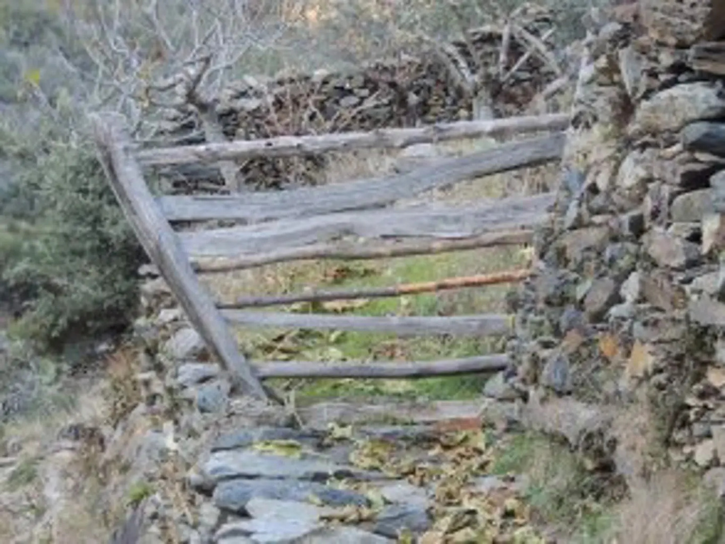 Casa Rural El Chorritero