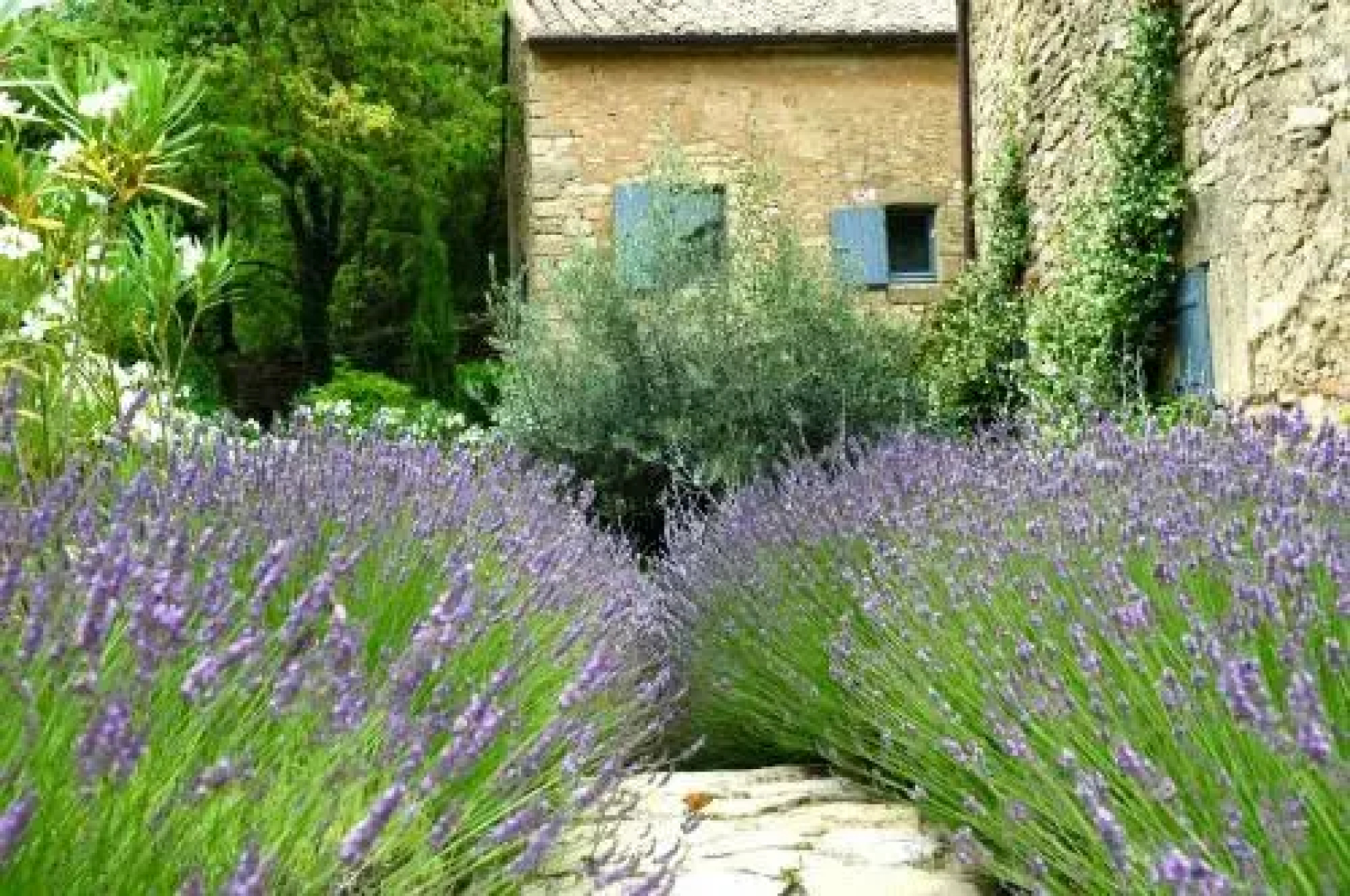 Le Clos du Lethe