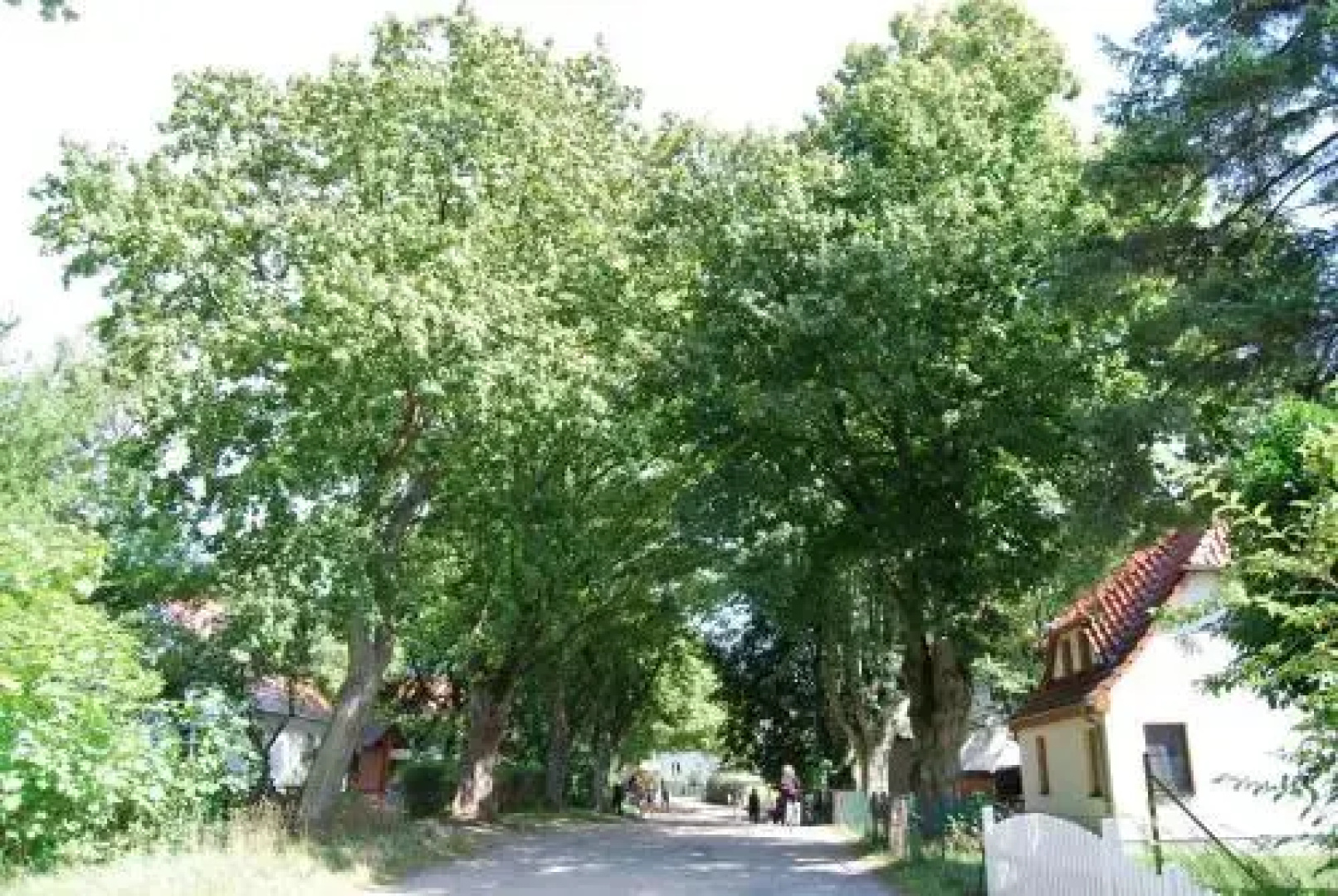 Hotel Enddorn