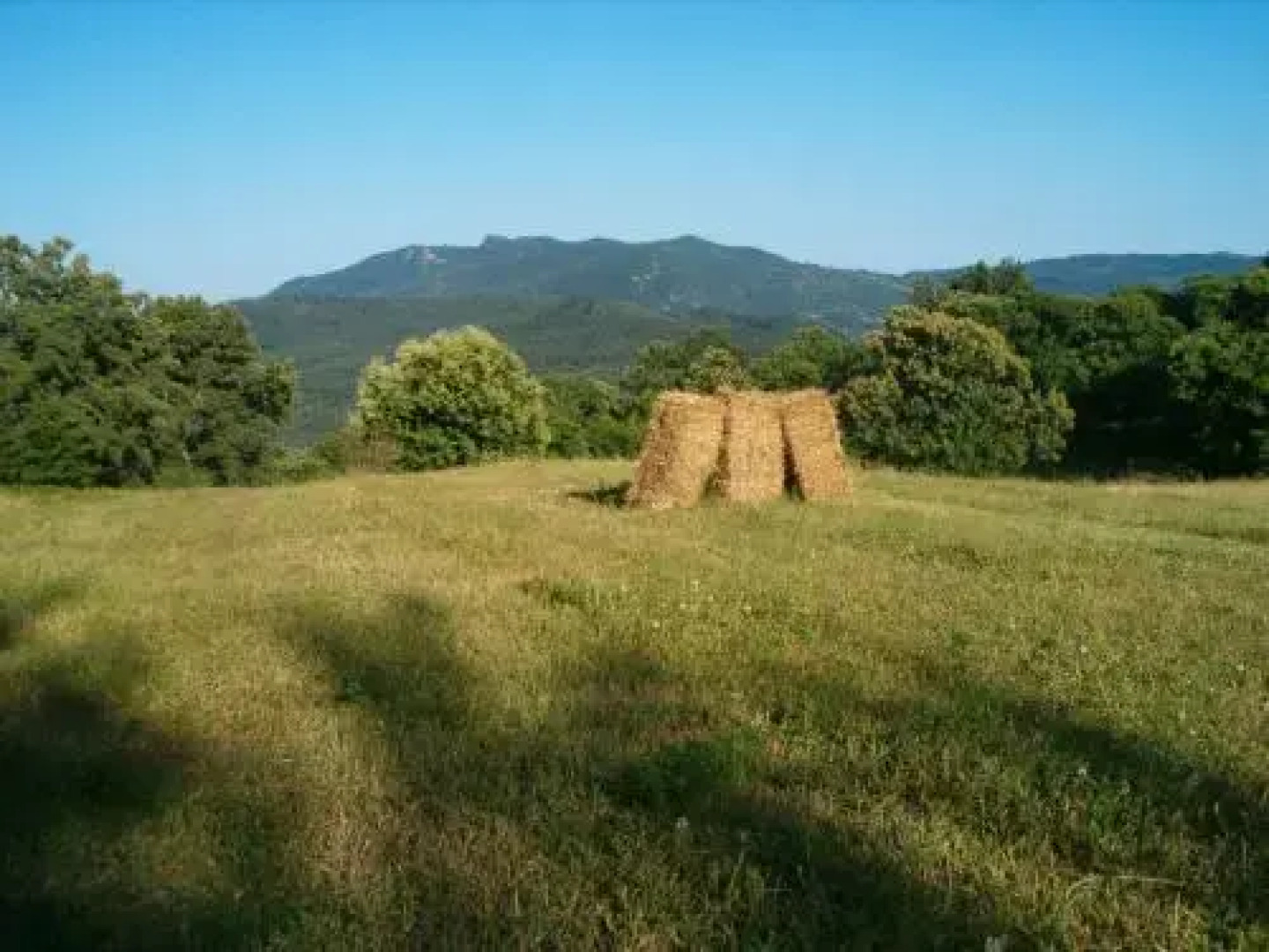 Agriturismo Fienile del Canalone