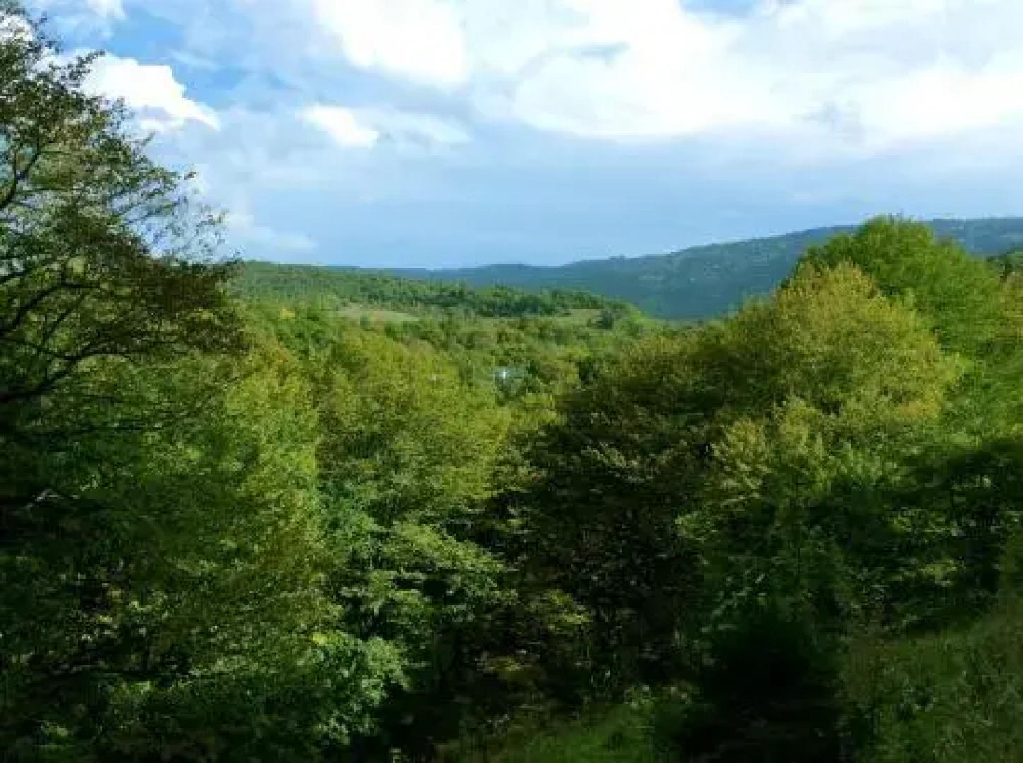 Guest House Mtashi House