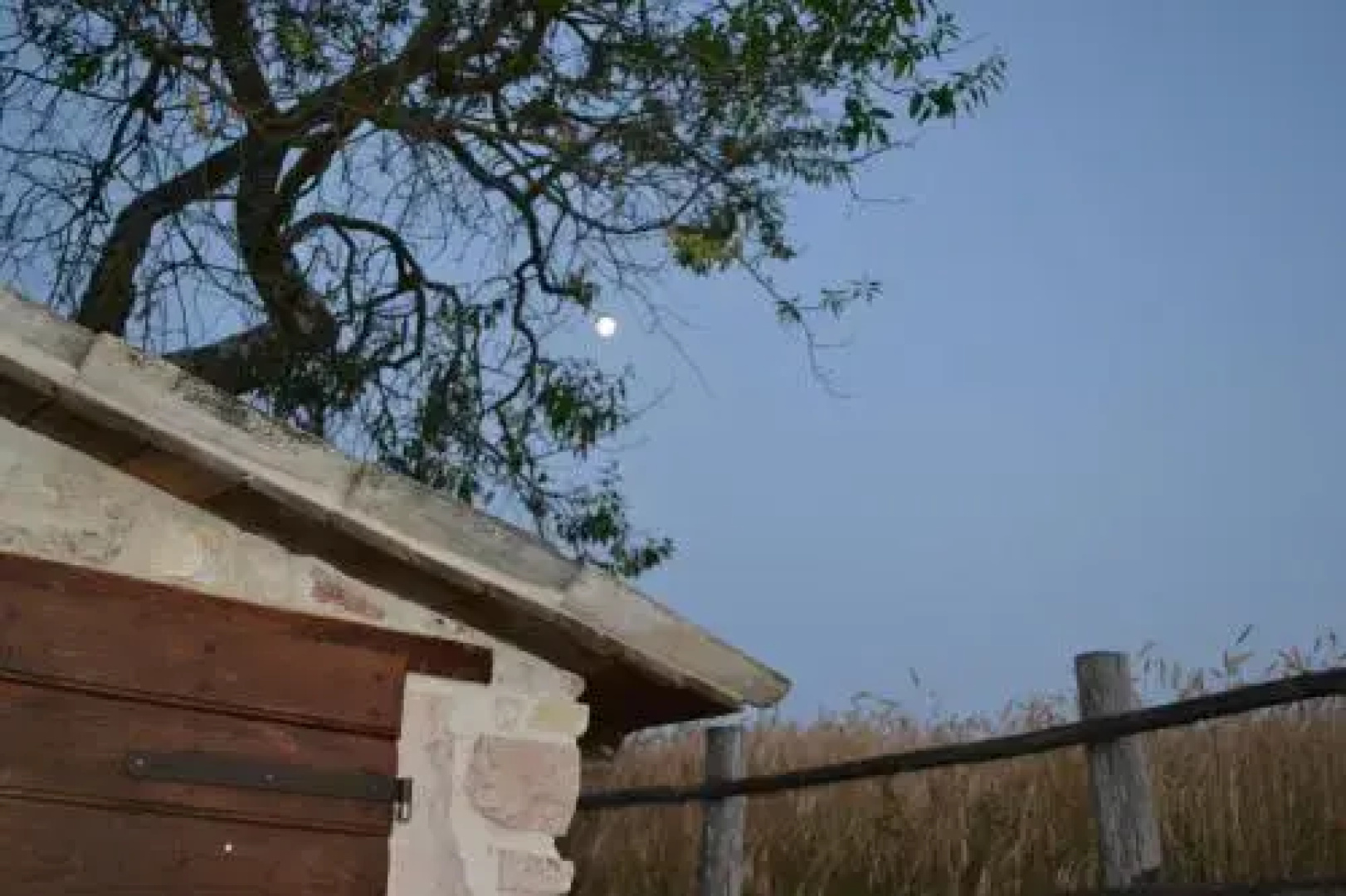 La Ginestra