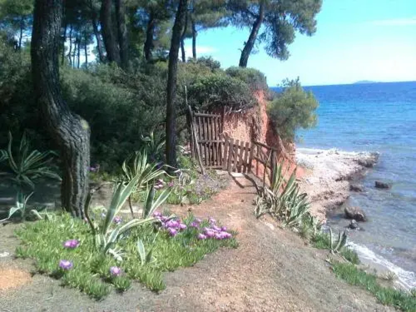 Sea And House