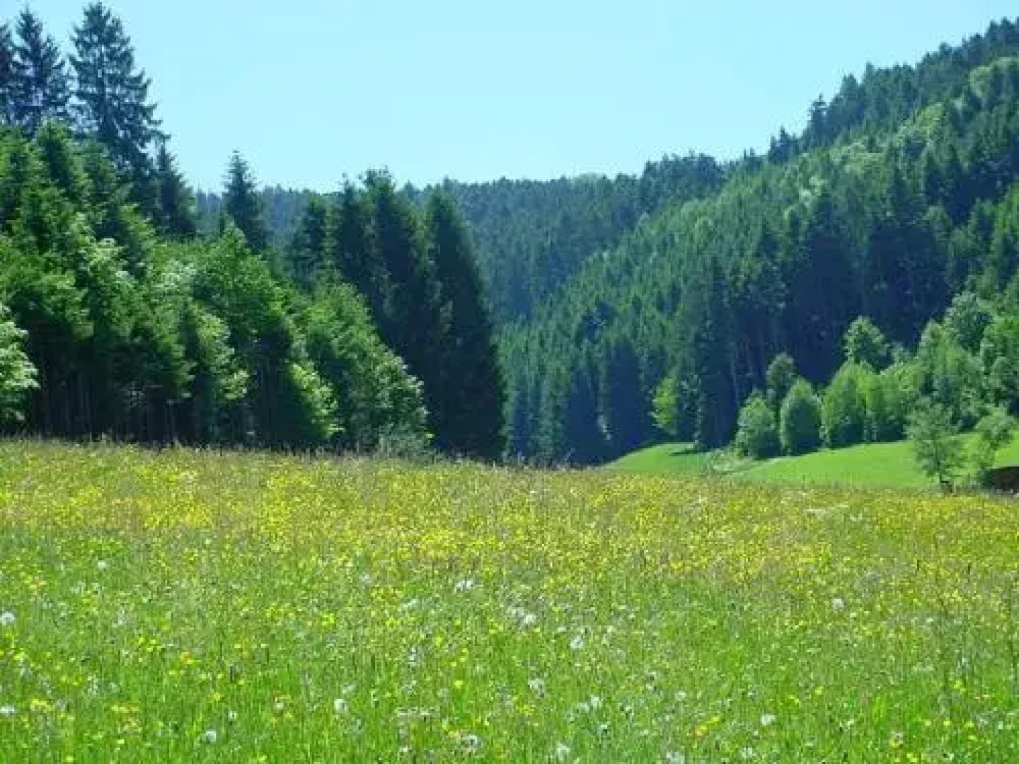 Müllerleile-Hof