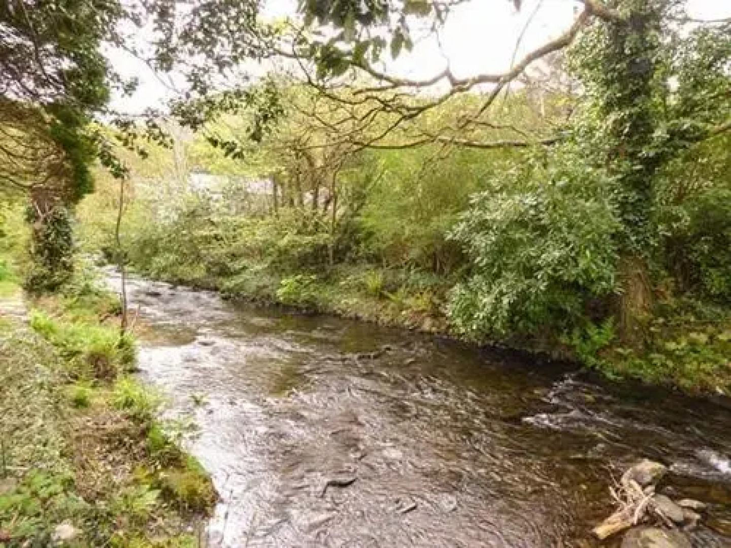 Dolgoch Falls