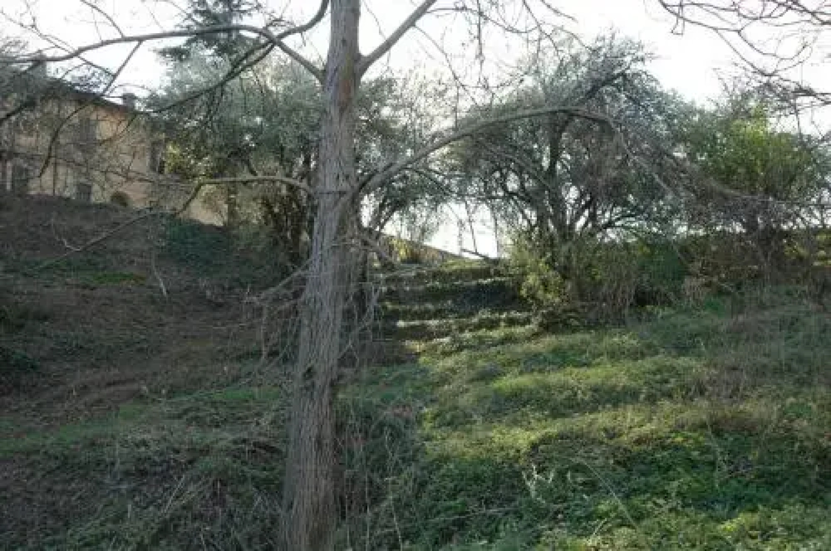 Agriturismo La Corte dei Semplici