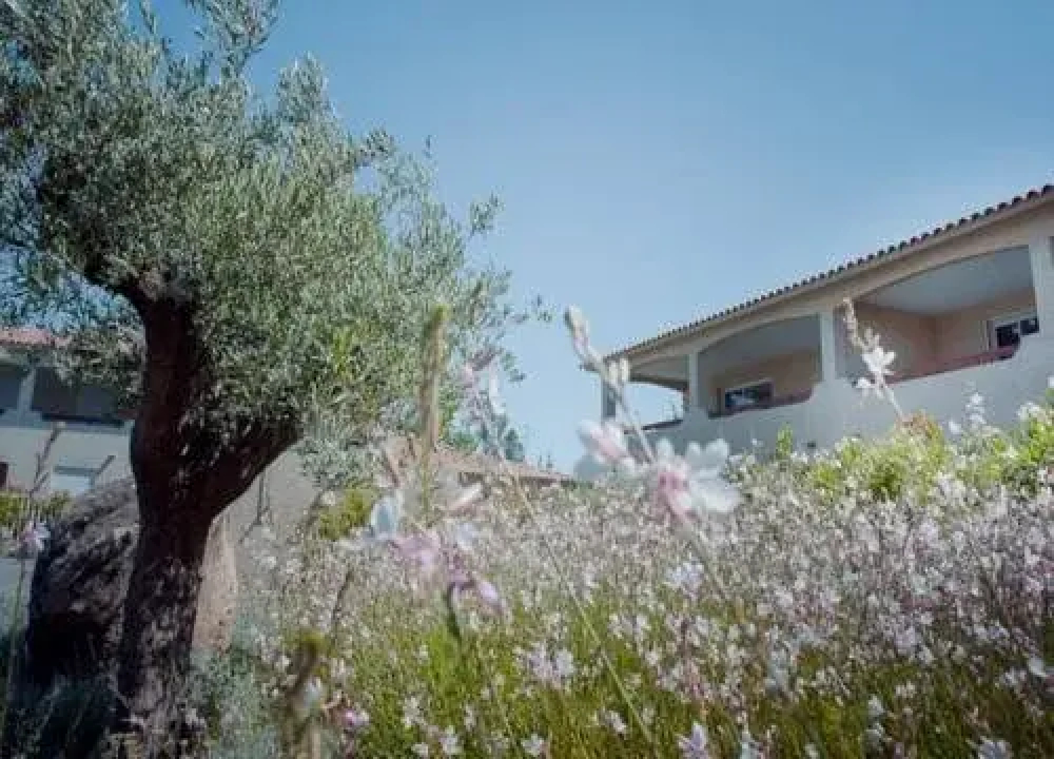 Le Jardin dAlzetu
