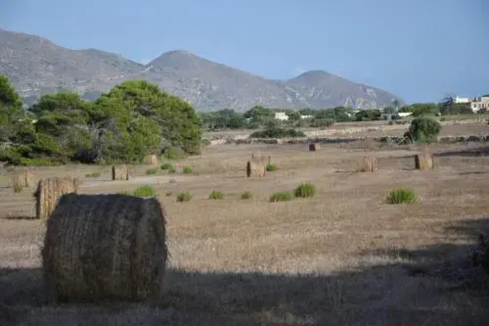 Appartamenti la Pinetina di Favignana