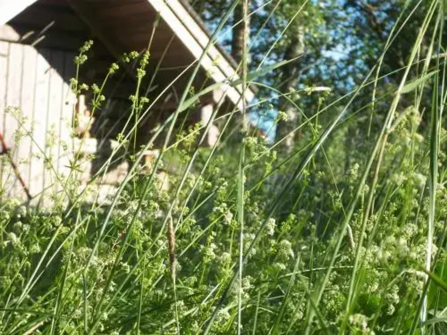 Brinkin Wanha Pappila