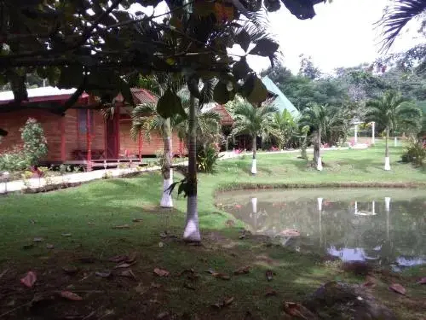 Rincon Verde
