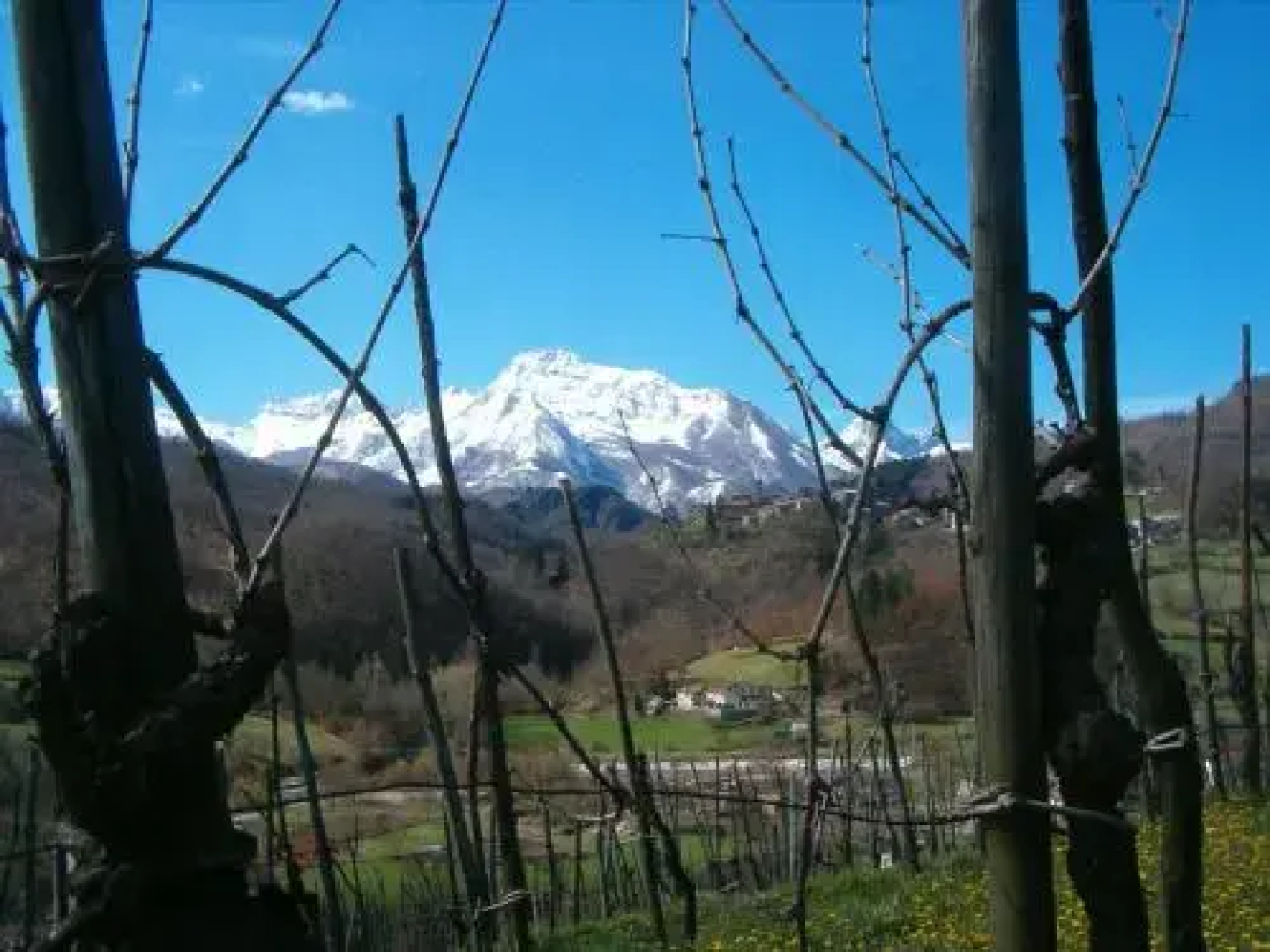Agriturismo Polla