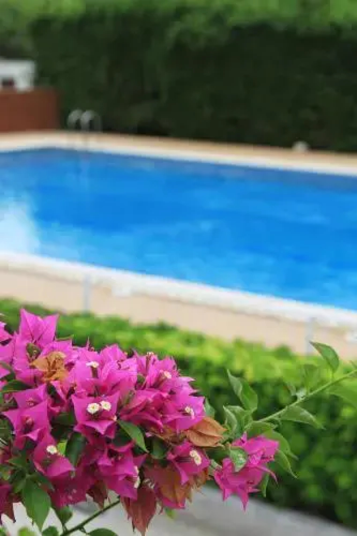 Camping La Rueda