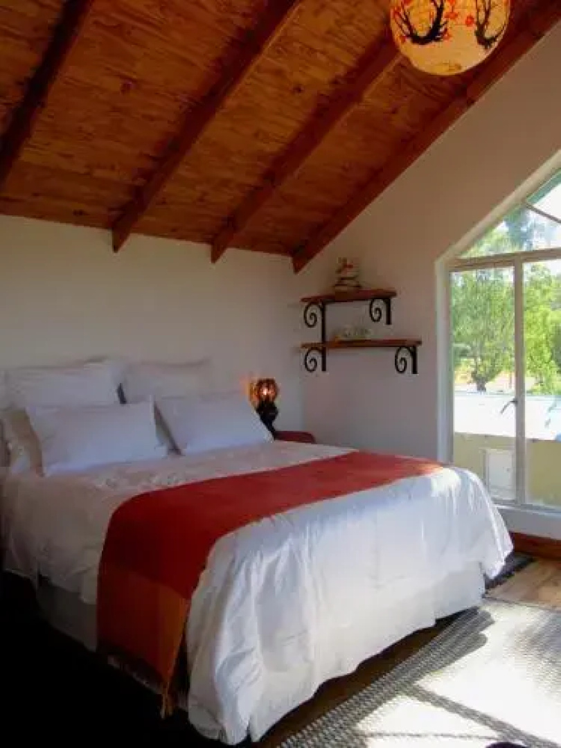 Bluegum Cottage B&B and Self Catering