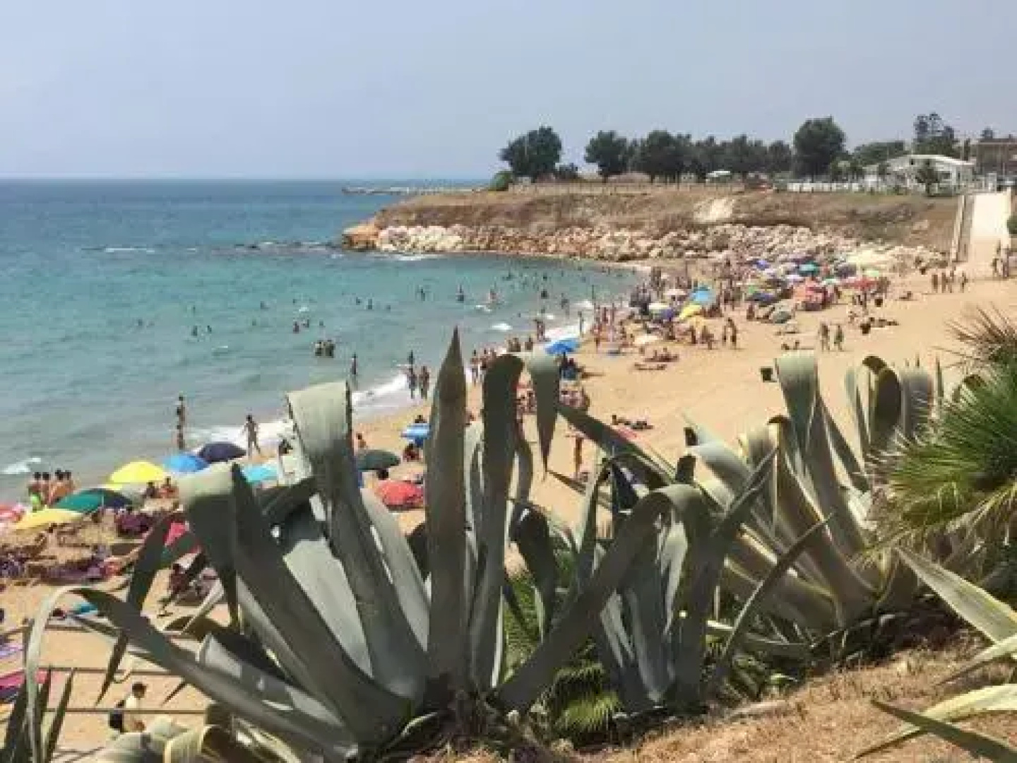 La Scogliera
