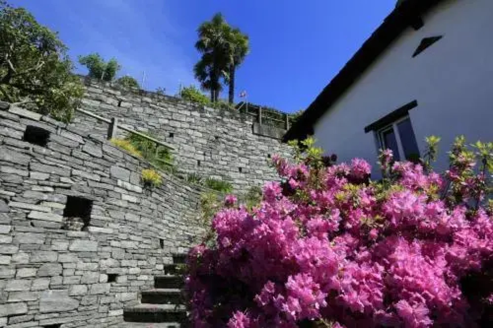 Casa Micheroli Parterre