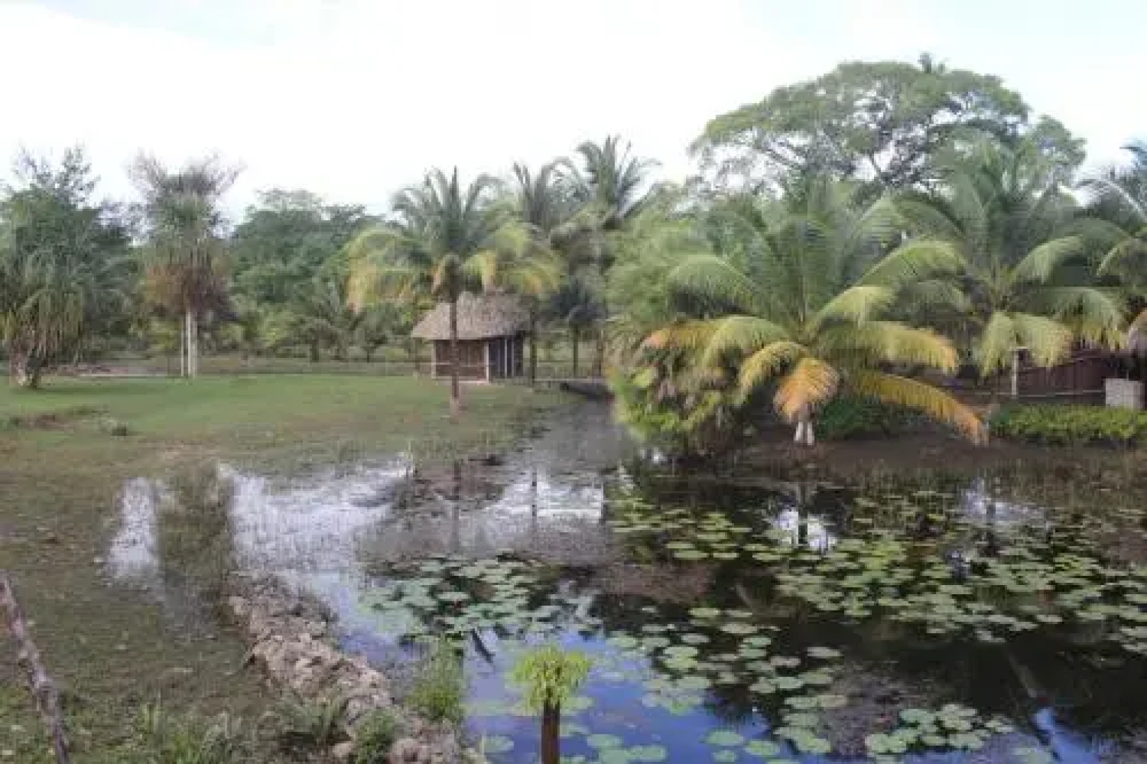Highway Trails Belize Resort and Country Club