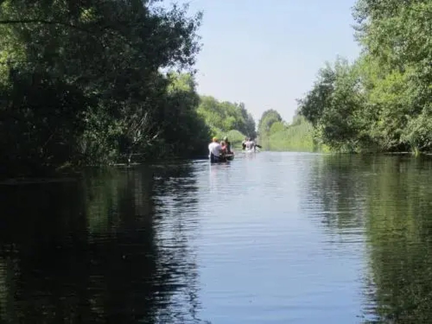 Pincelakat Borház és Szálloda
