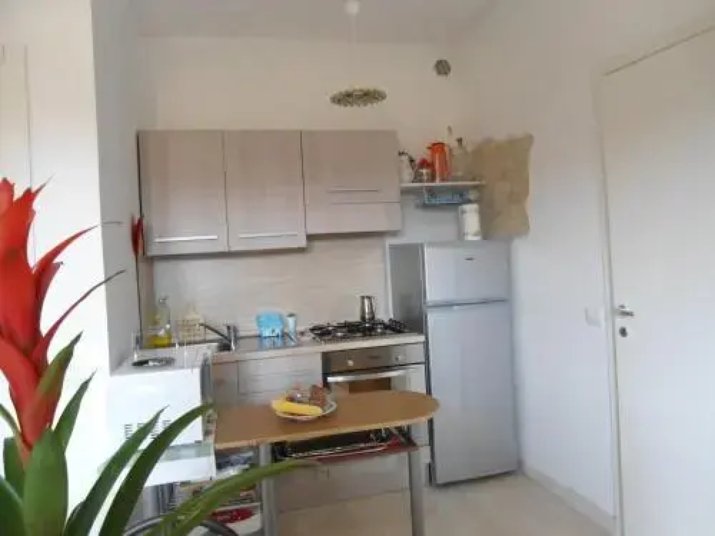 Rosa Spina B&B