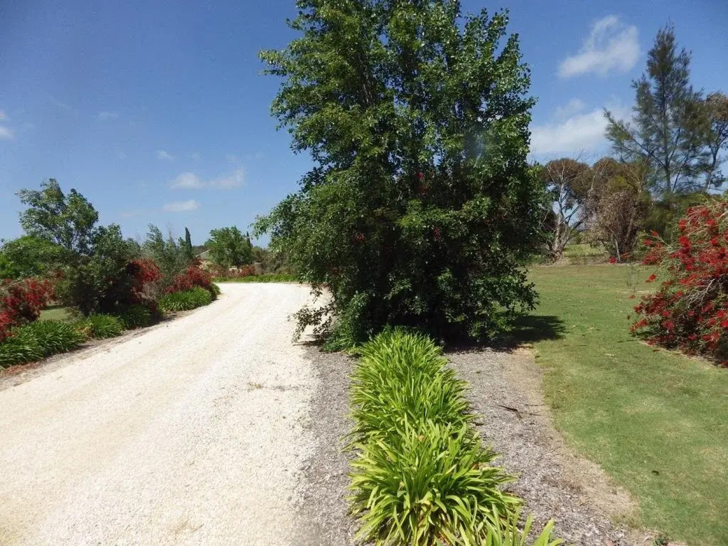 Ashwood Park Bed and Breakfast