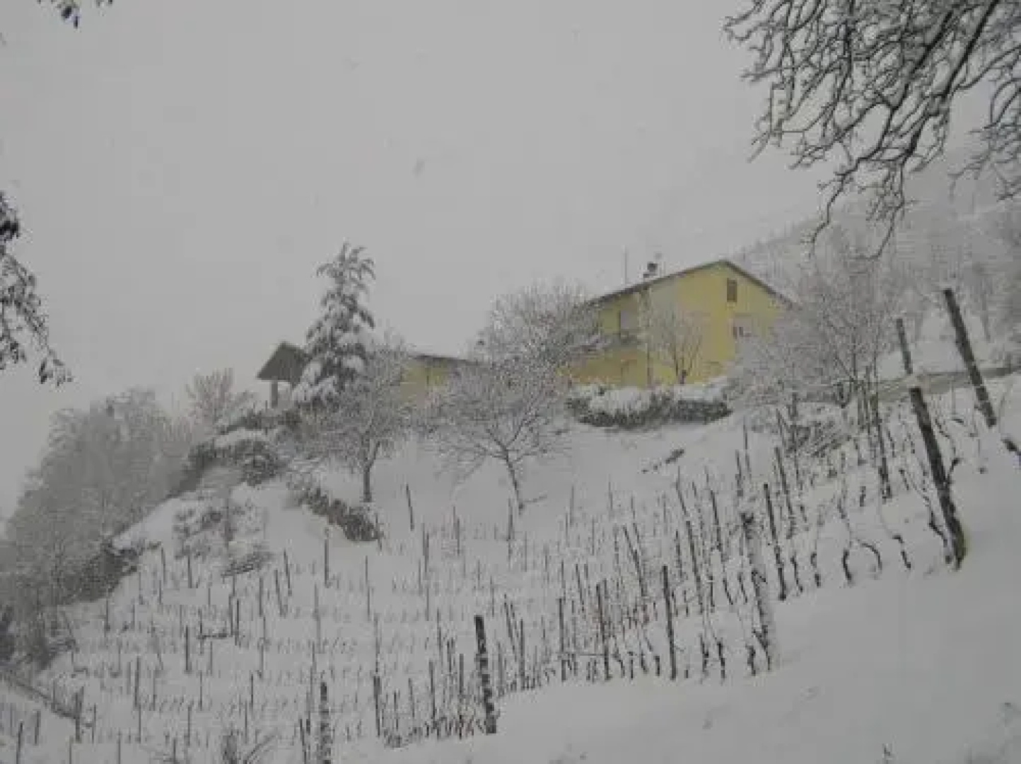 Agriturismo Il Crutin