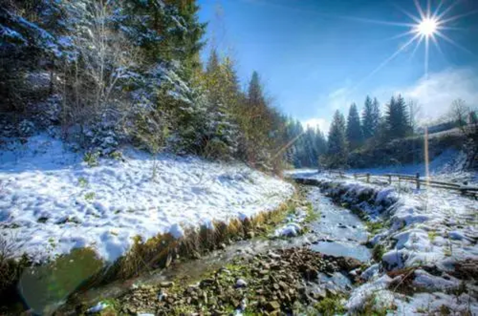 Sadyba Karpaty