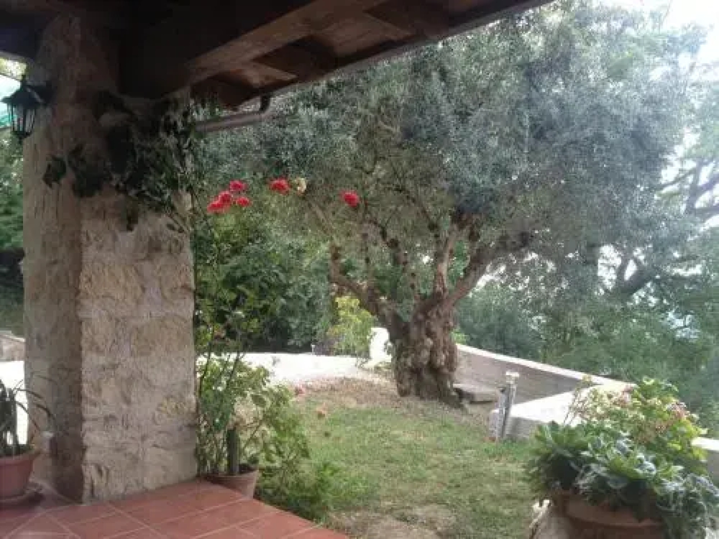 La Casa Di Lidia