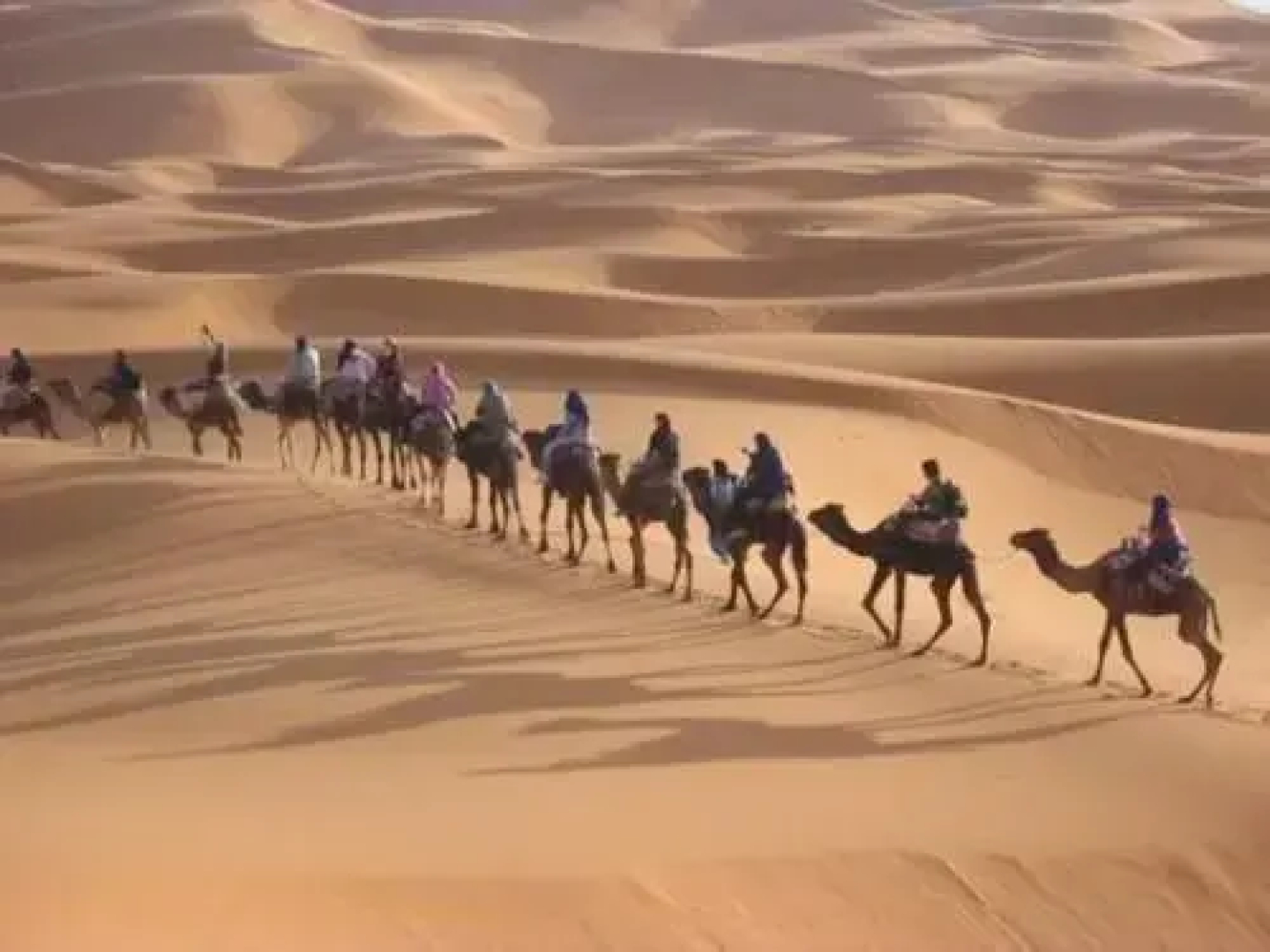 Merzouga Aicha Camp