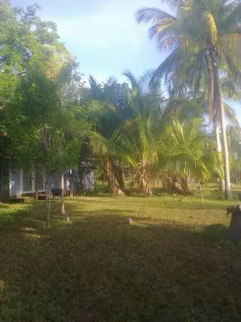 Paradise Creek Cottages