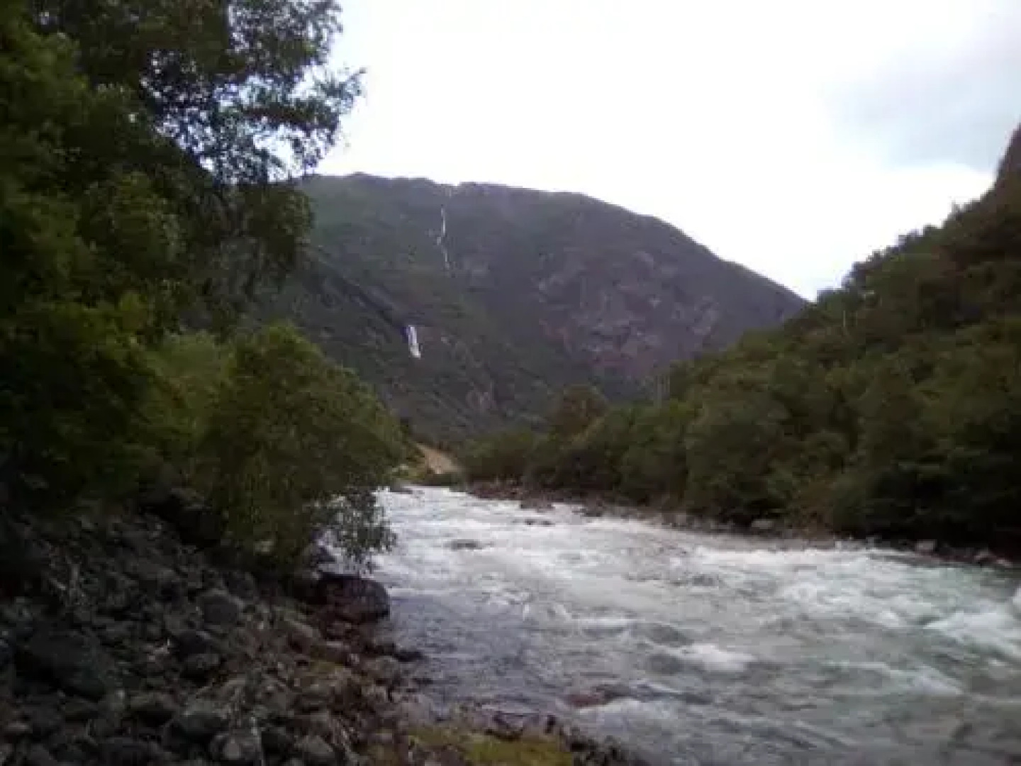 Bjørkum Gard