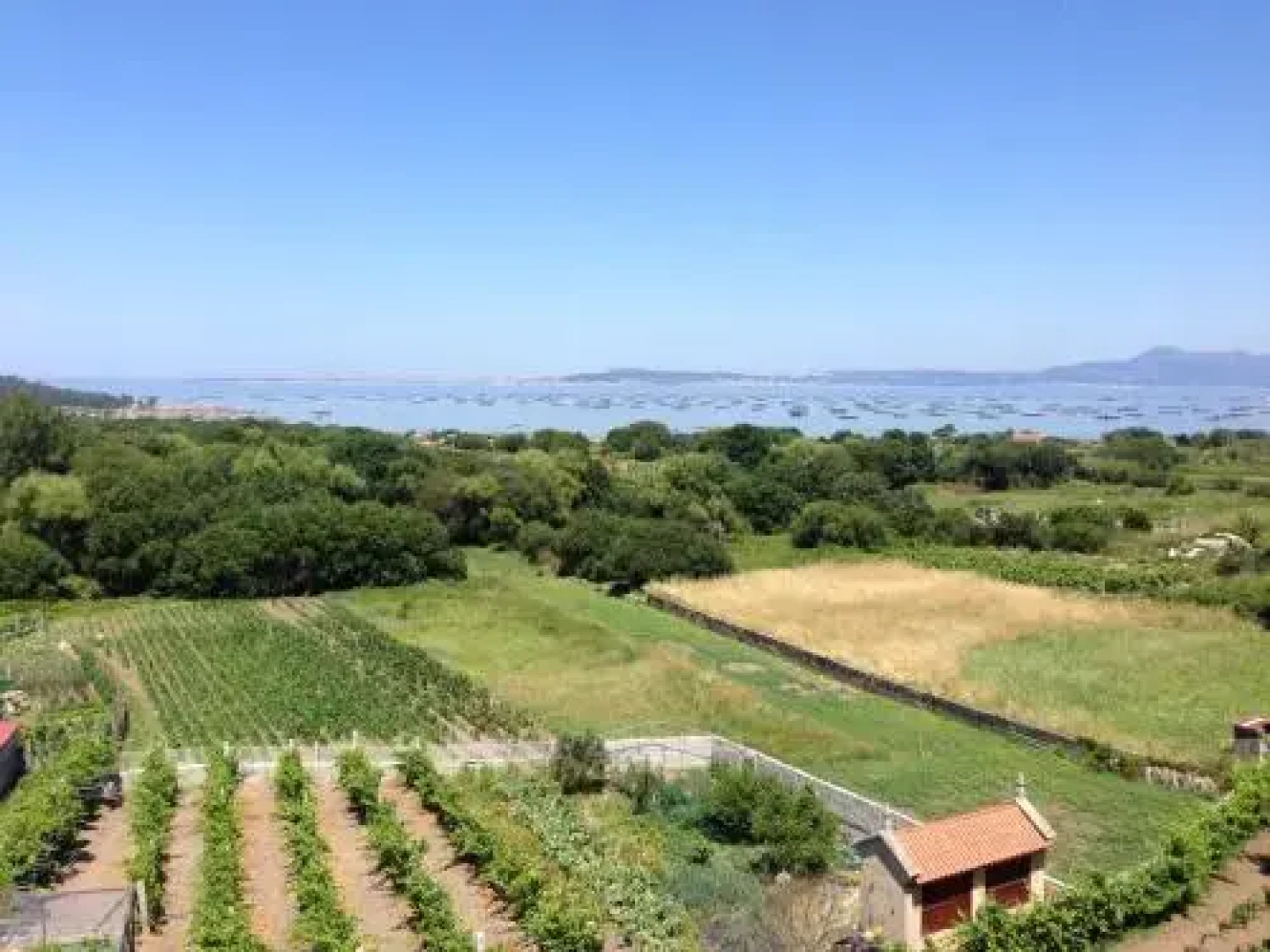 Apartamentos Arosa