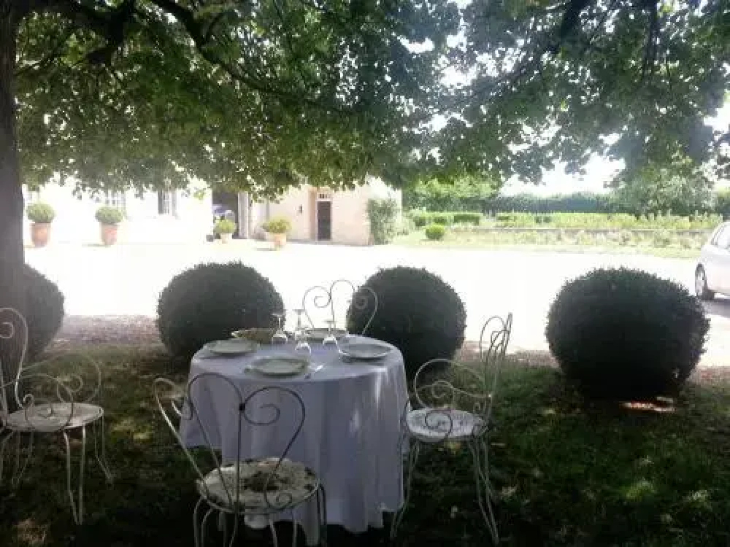Tourterelle, à proximité de Auxerre et Chablis