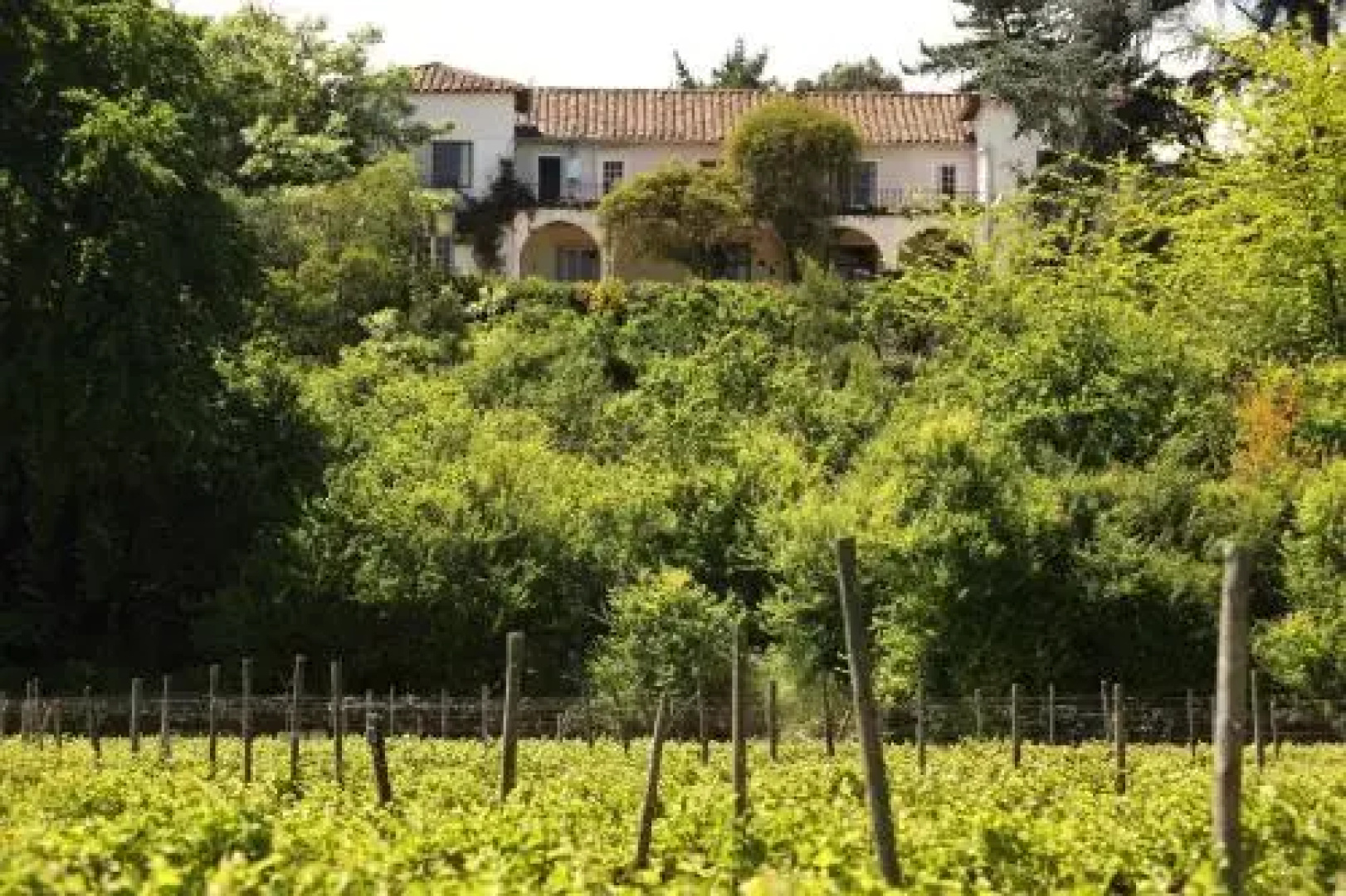 El Cerrillo Bed & Breakfast