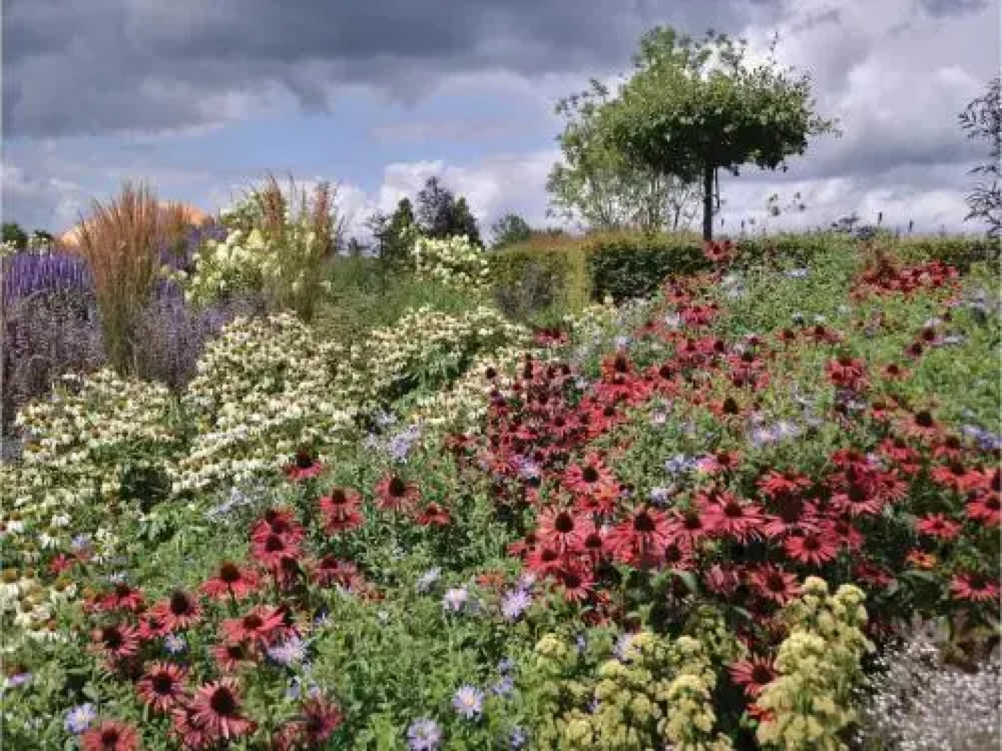De Betuwe Hoeve