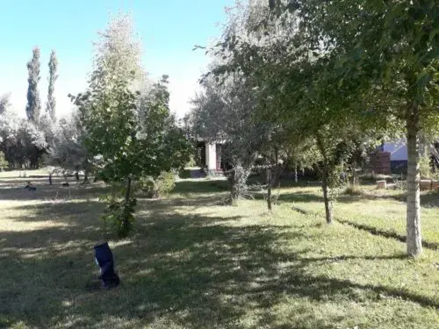 Estancia Los Morros
