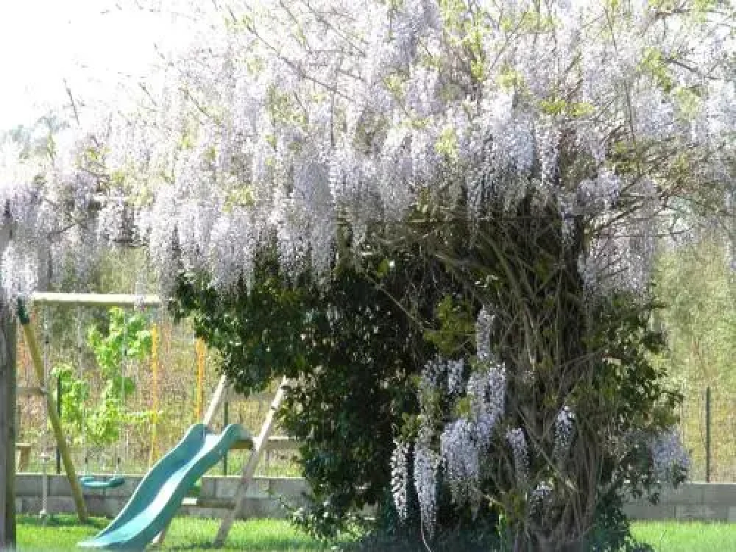 Agriturismo Vallerana