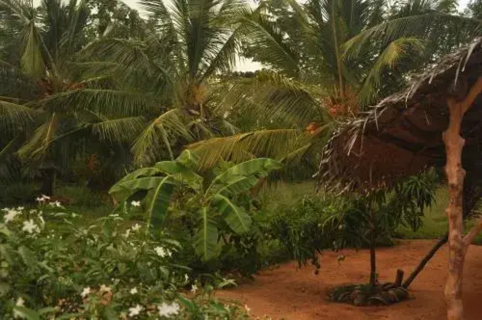 Wadiya Tourist Guest House