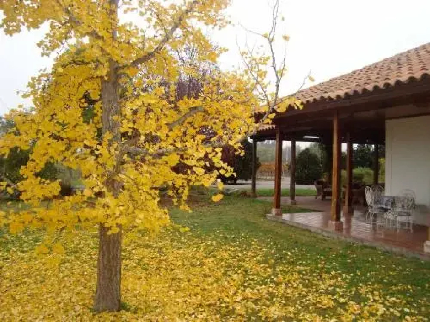 Santa Filomena de Cunaco