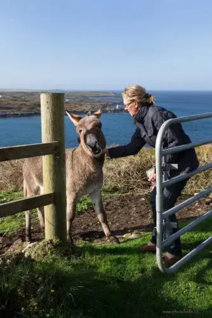 Clifden Bay Lodge