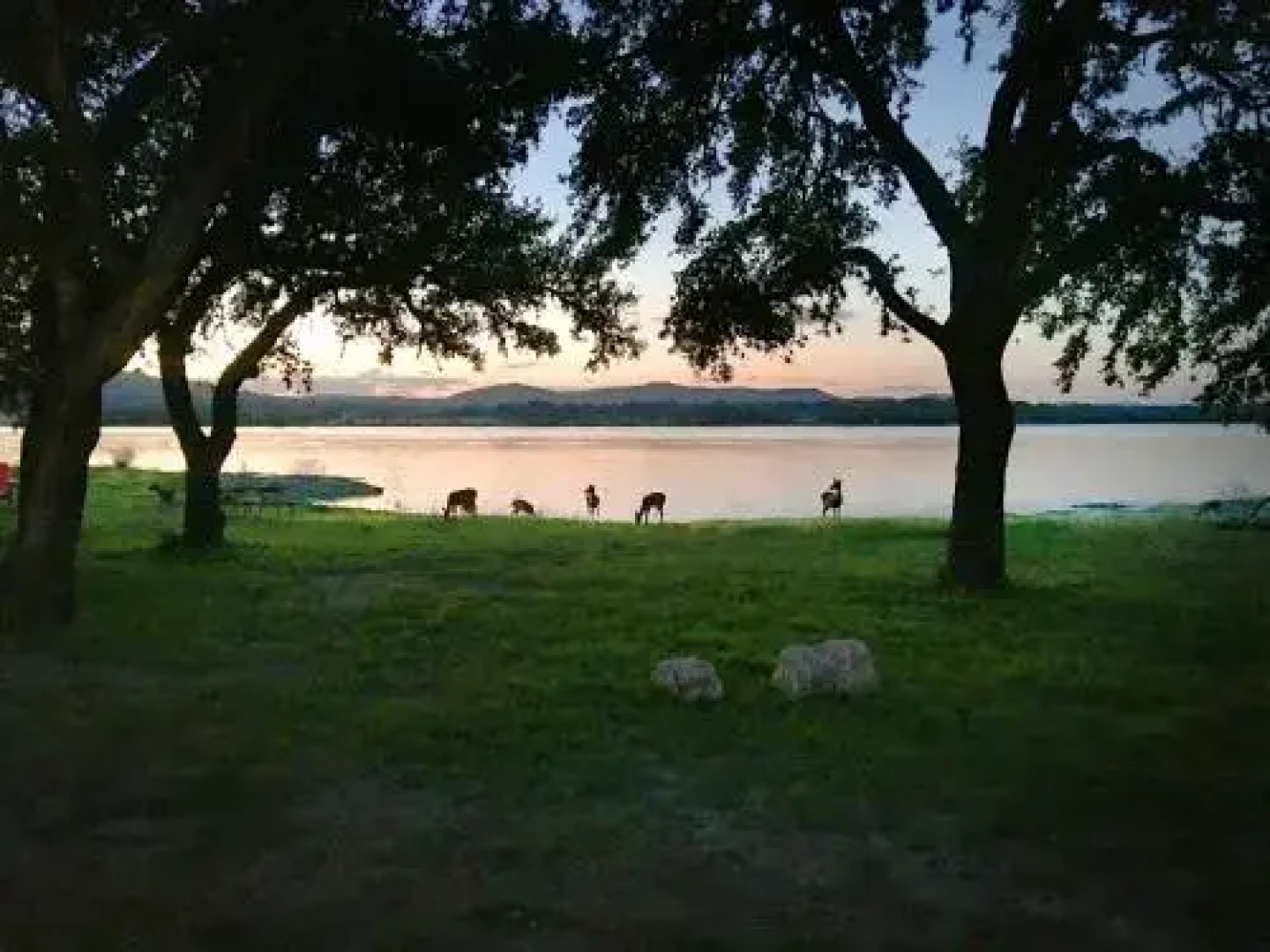 Medina Lake Camping Resort Studio Cabin 2