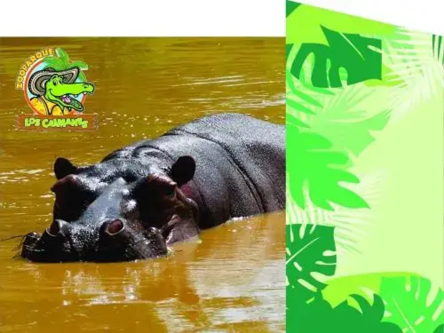 Zooparque Los Caimanes