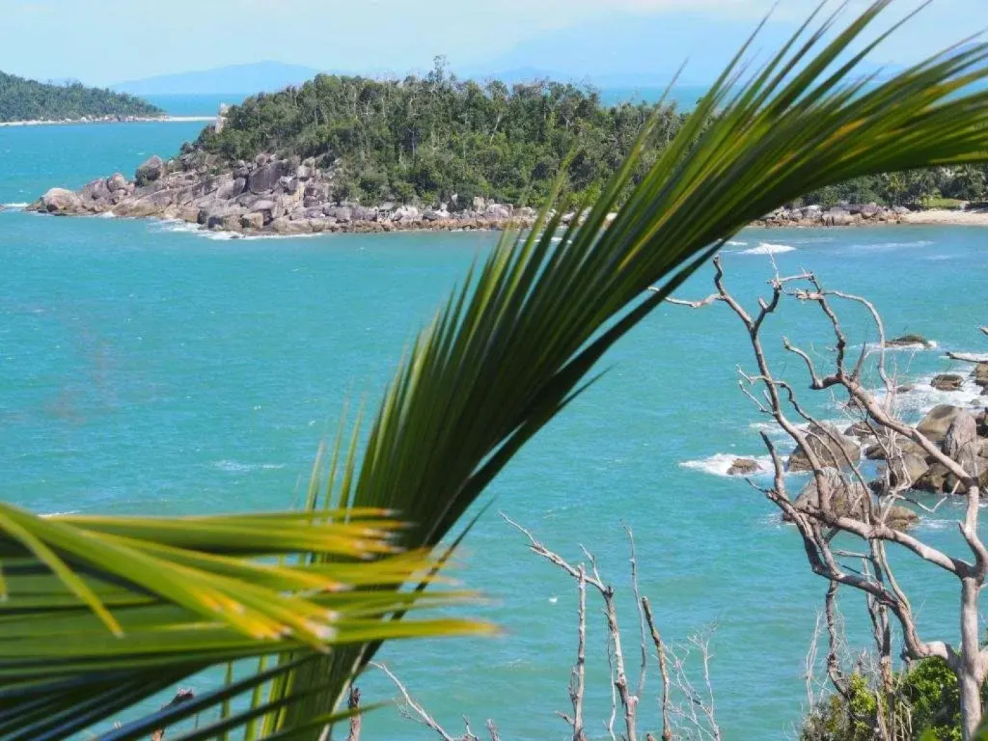 Bedarra Island Treetop Hideaway