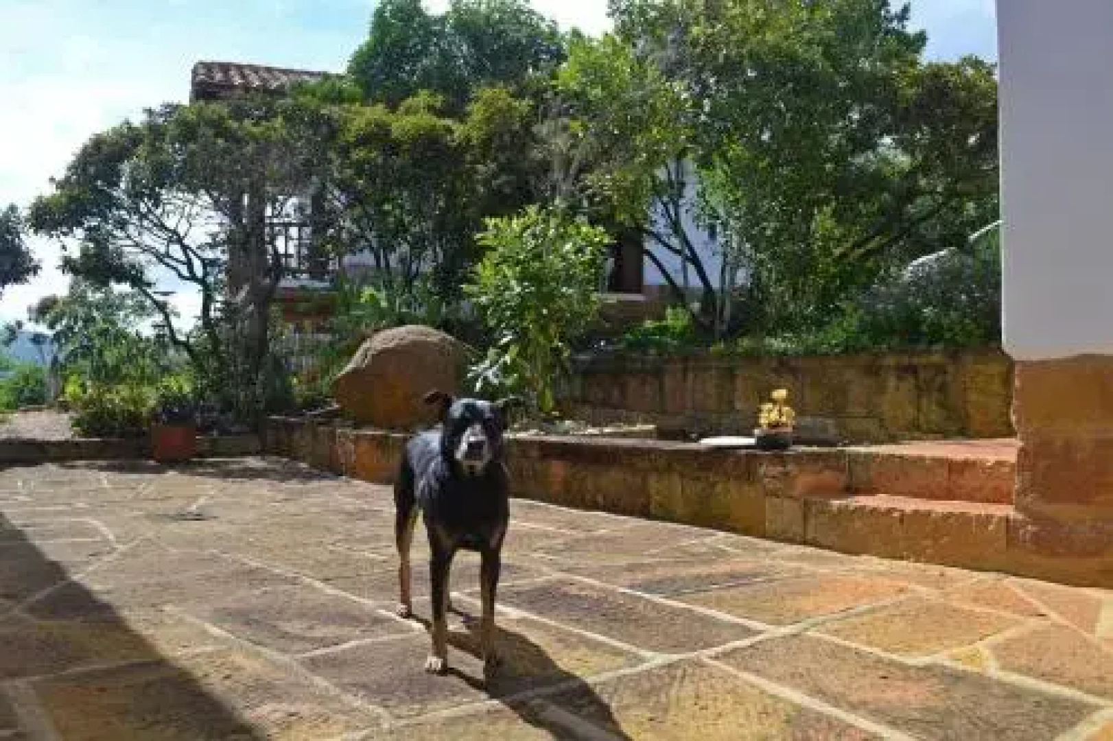 Zuasinca