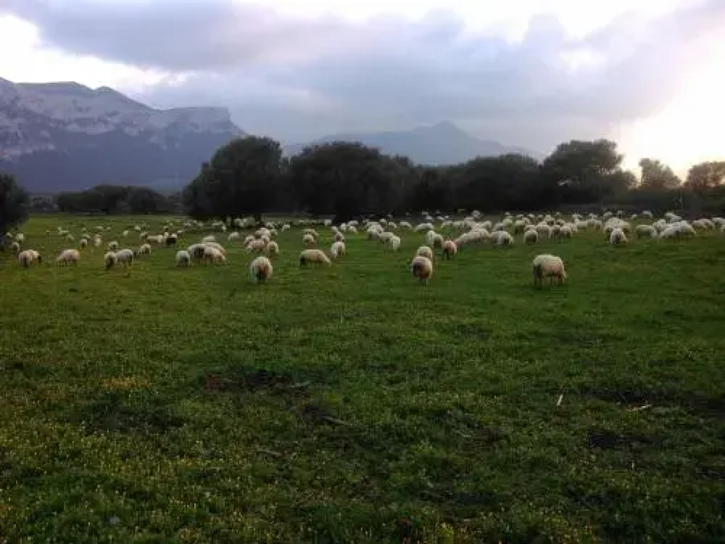 Agriturismo Vistamare