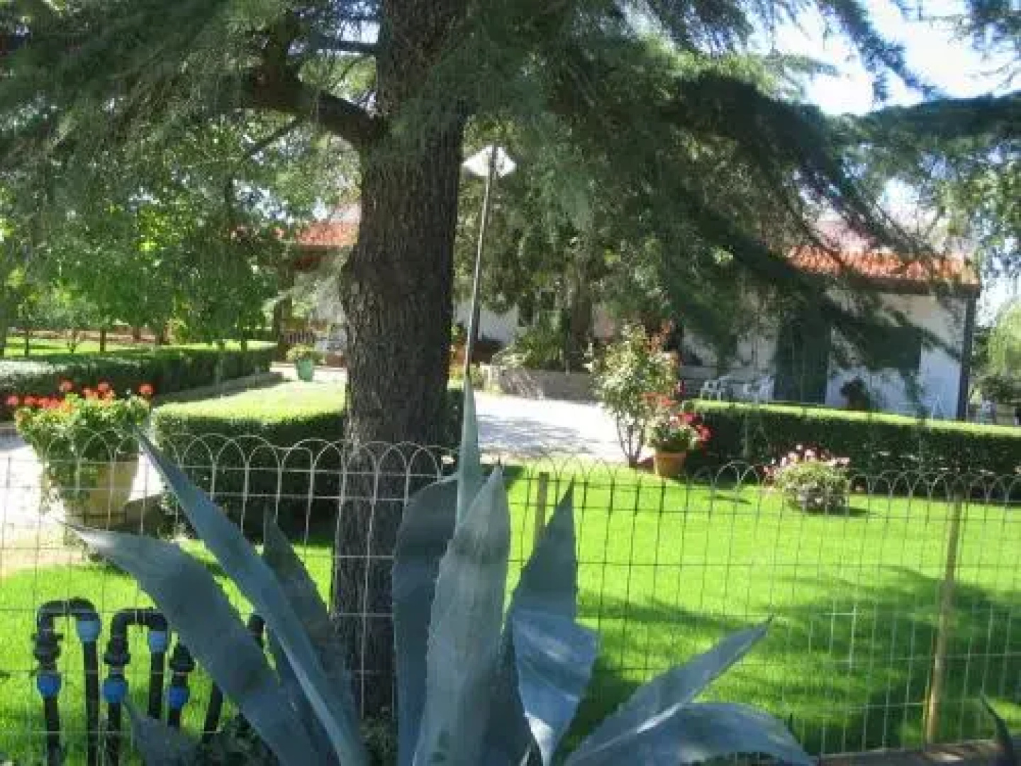 Villa Irene