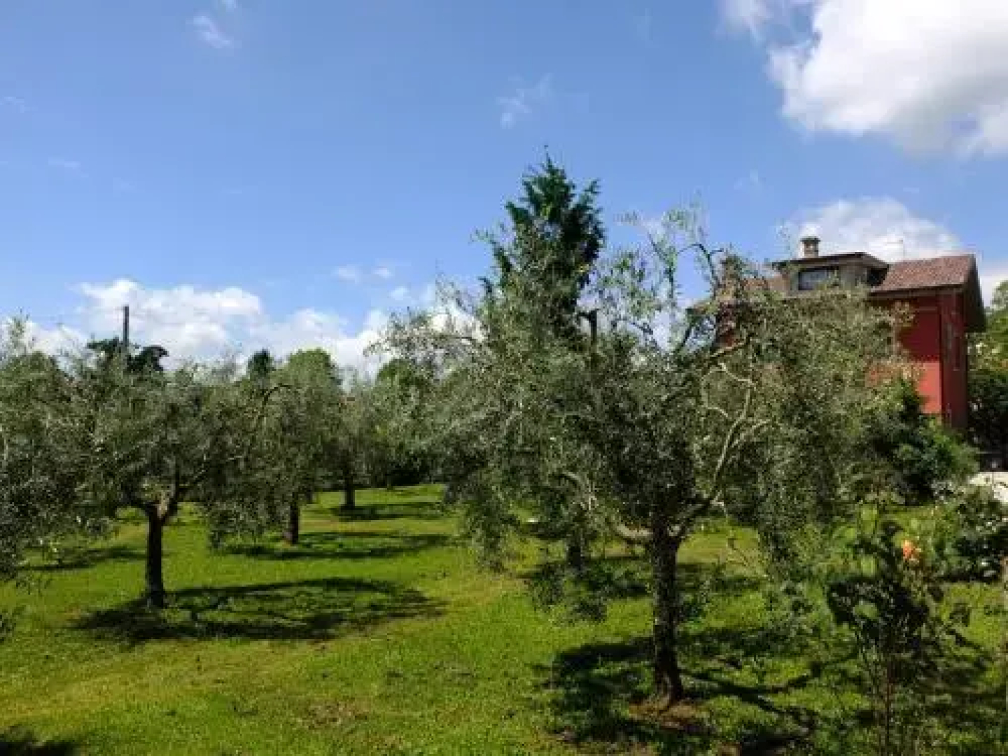 LUpupa B&B