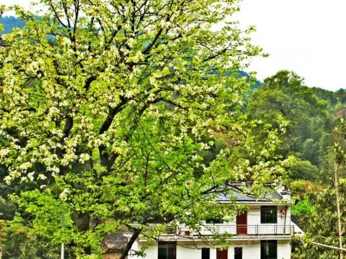 Wu Yuan Smile Family Guest House