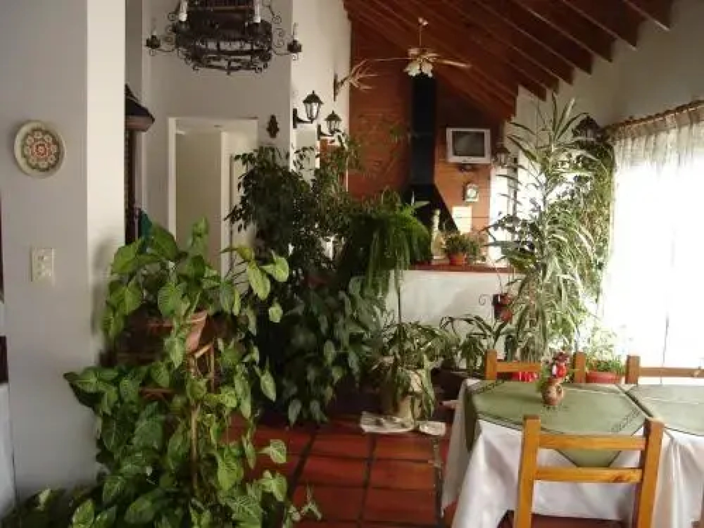 Hosteria de los Cesares
