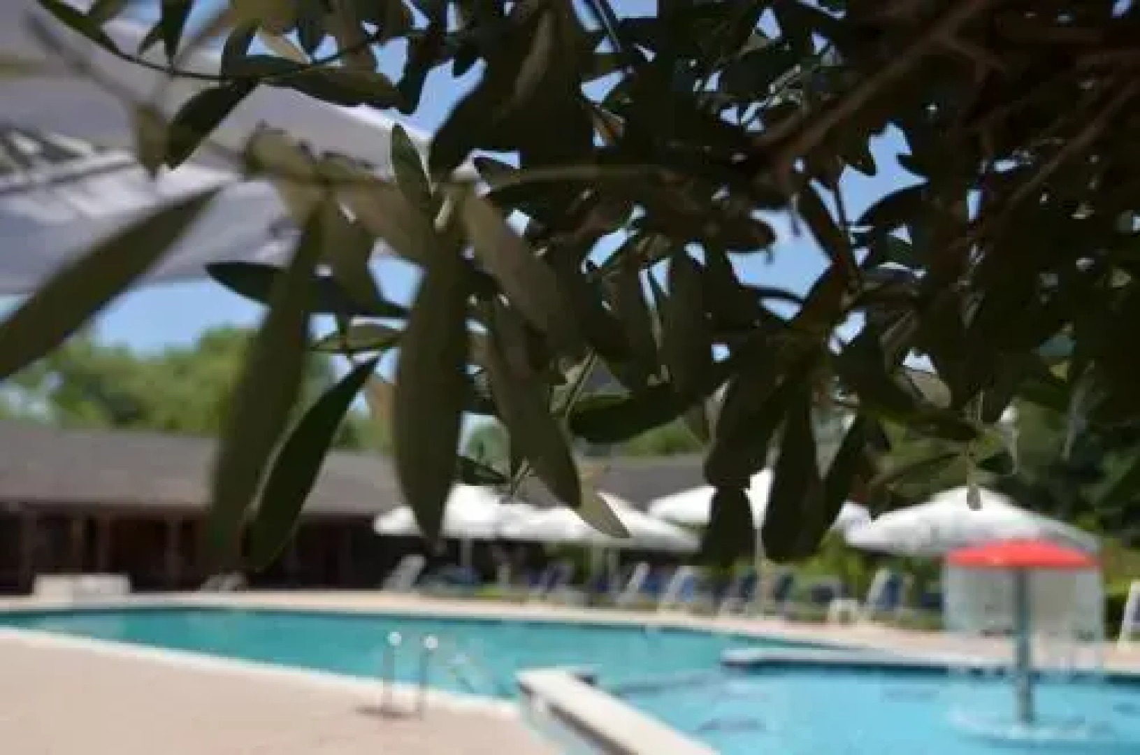 Kompleksi Sebastiano