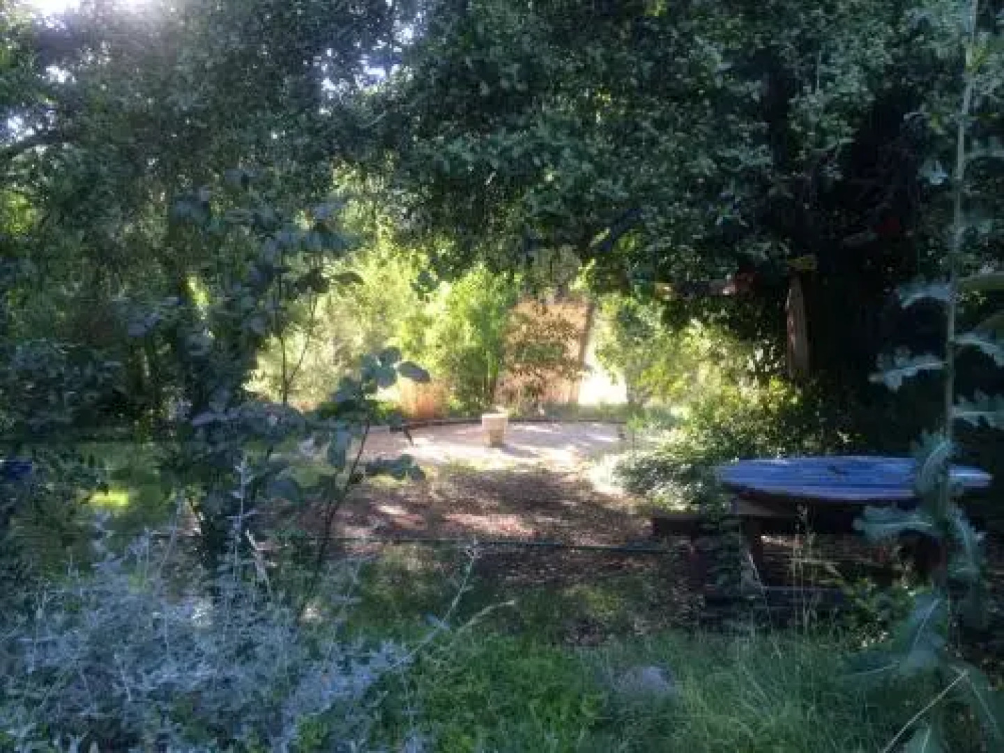Maipo Shanti Lodge