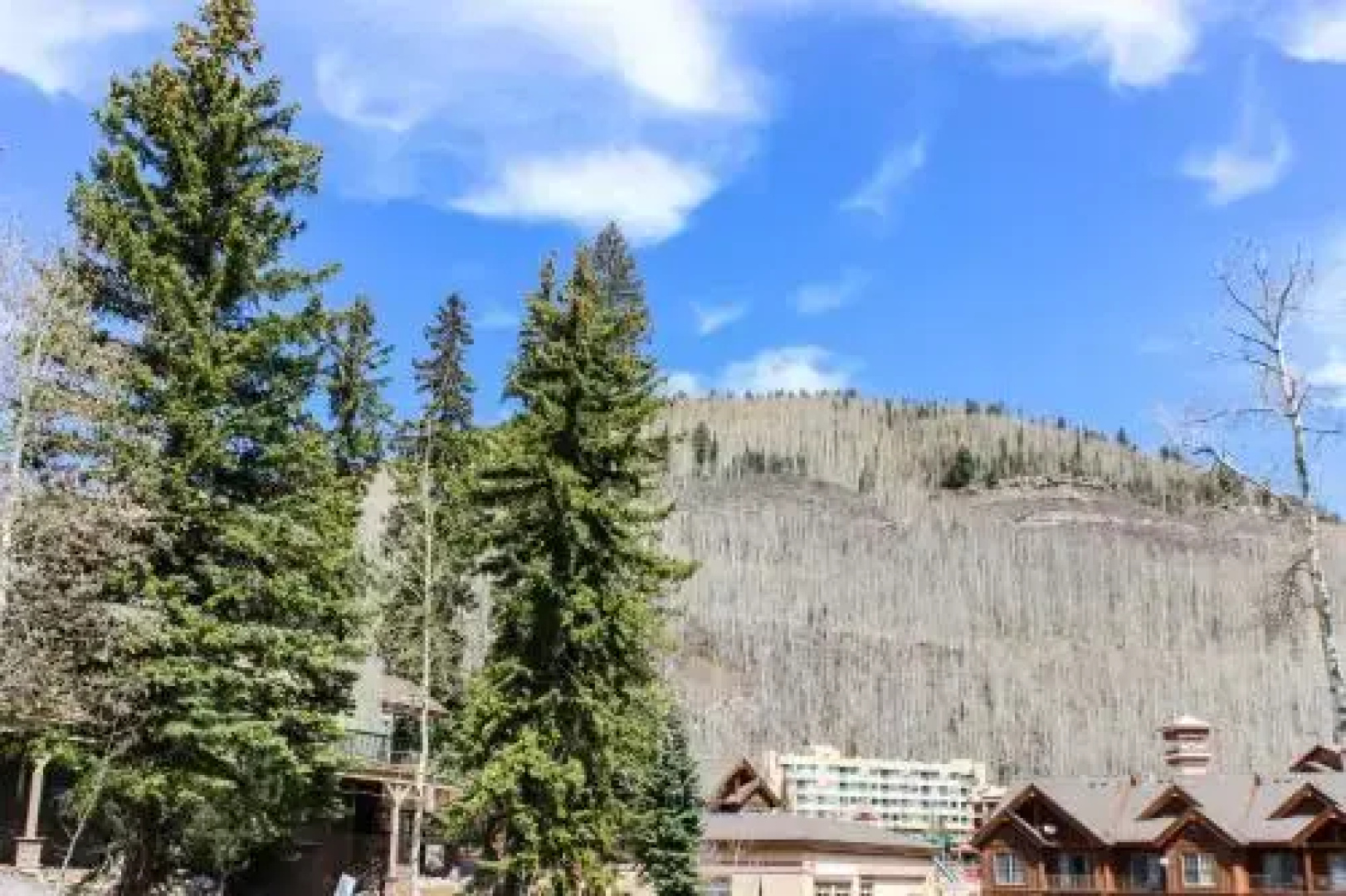 The Angelhaus Condos by Durango Red Cliff Properties